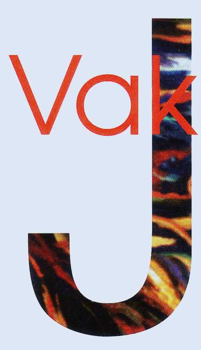 J VAK Studio